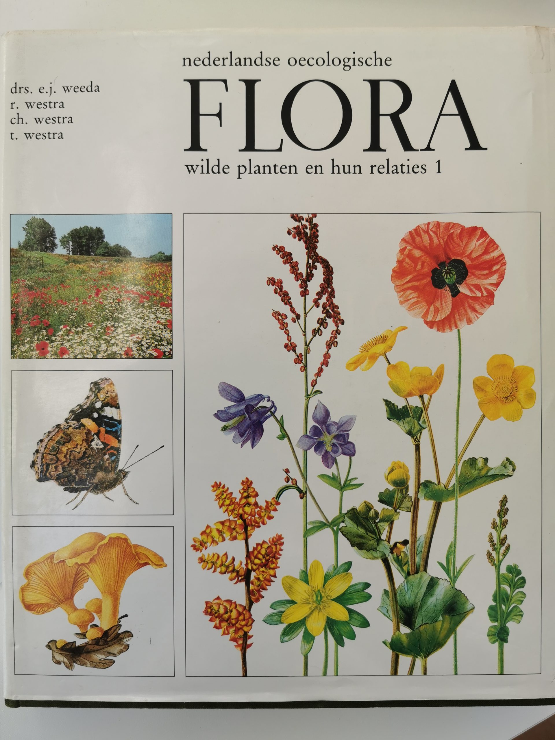 Nederlandse oecologische flora, wilde planten en hun relaties 1