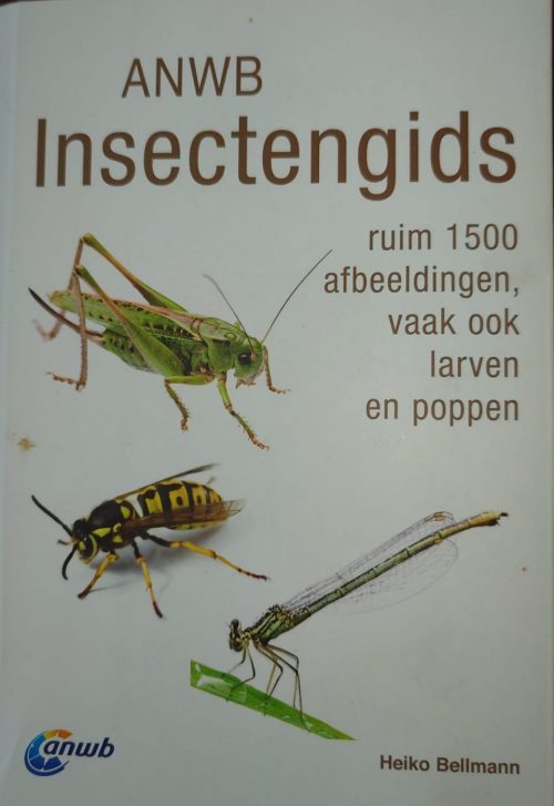ANWB Insectengids