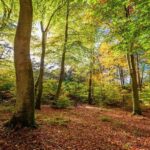 De zomer begint in 't Hof van Coolhem