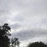 Midwinterwandeling Branst