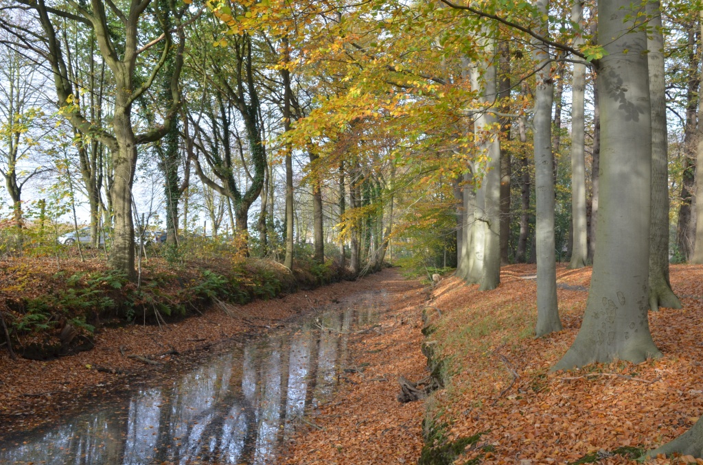 Hof van Coolhem