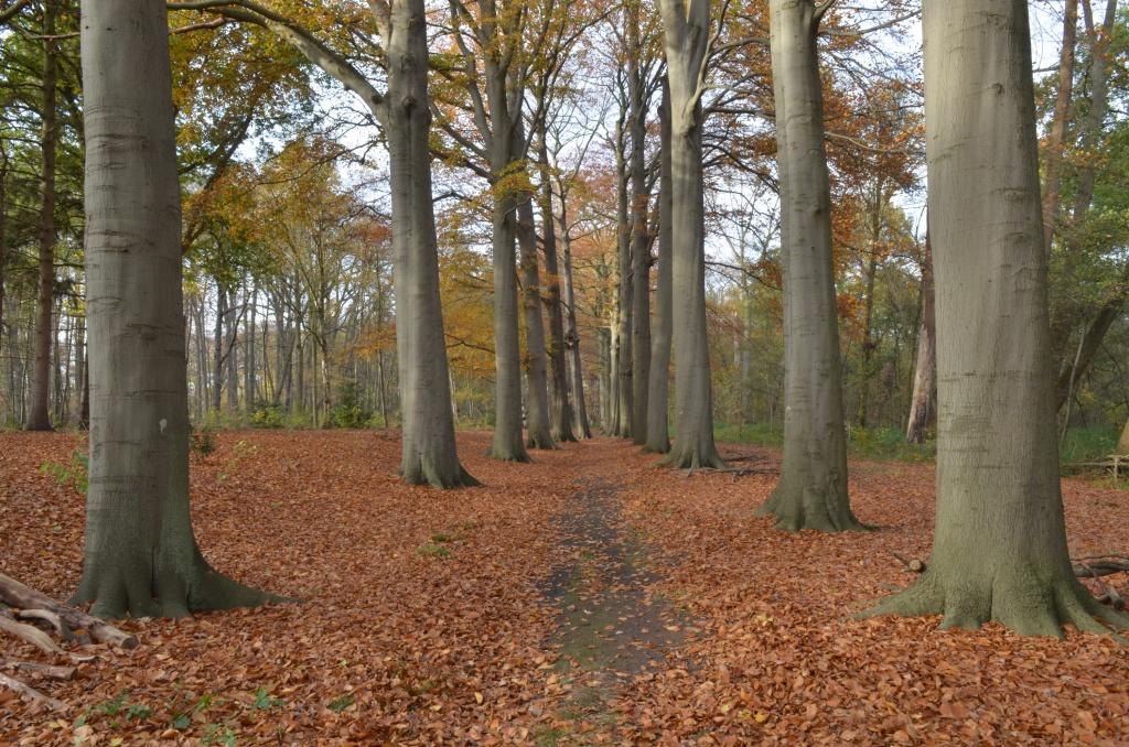 Hof van Coolhem