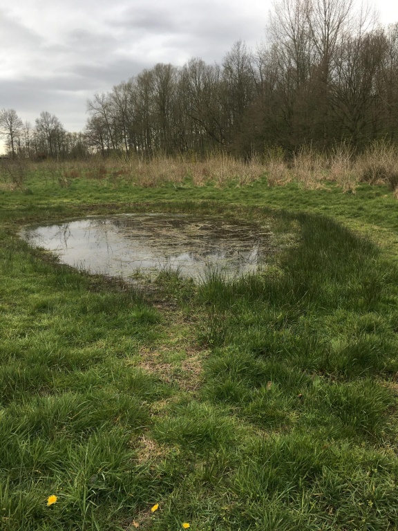 vennetje bij breevenbos