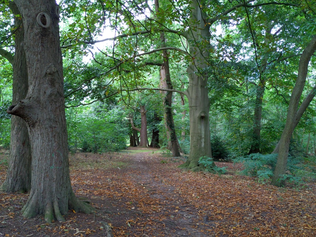 Kasteelpark