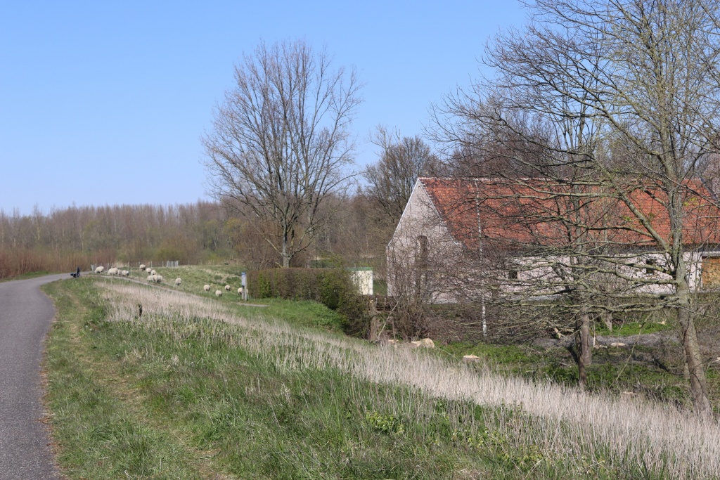 Steenovens