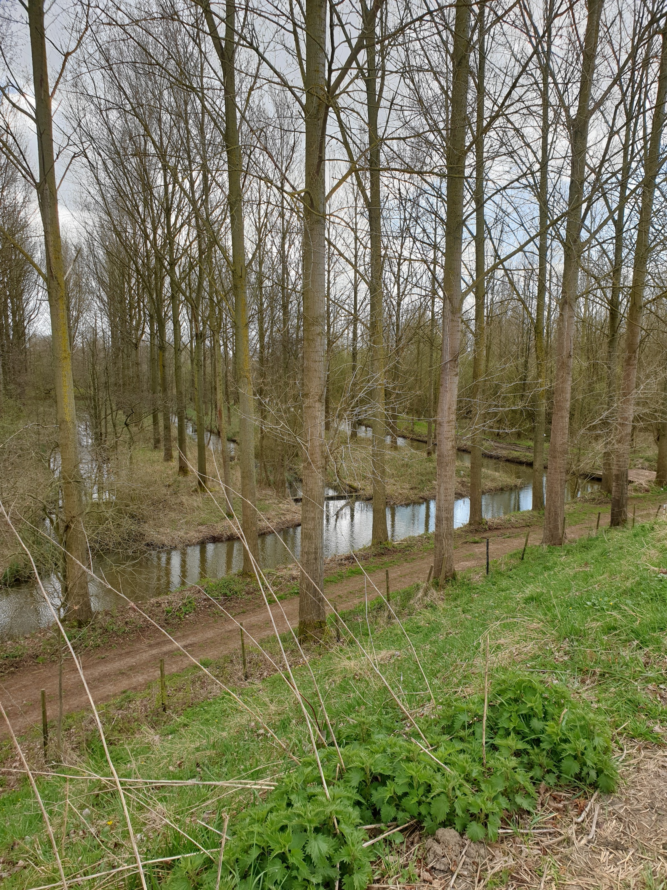 Vonck