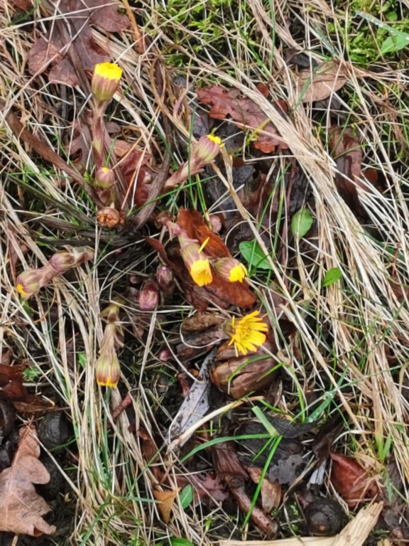 2020-02-27 15.37.06 2020-02-27 15.37.06