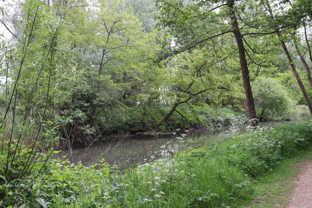 Tekbroek (3).JPG