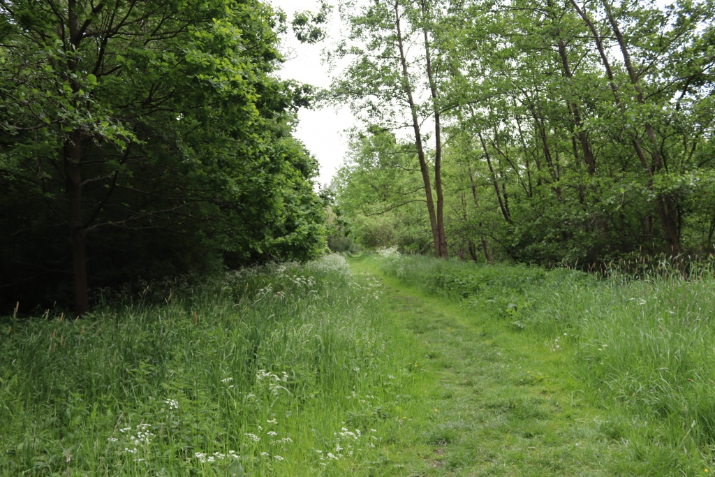 trage weg.JPG