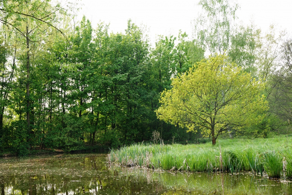 Polders