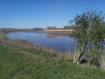 Rupel