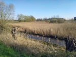 Zuidelijk Eiland