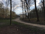 Dreef naar Kasteel D'Ursel (achteraan)